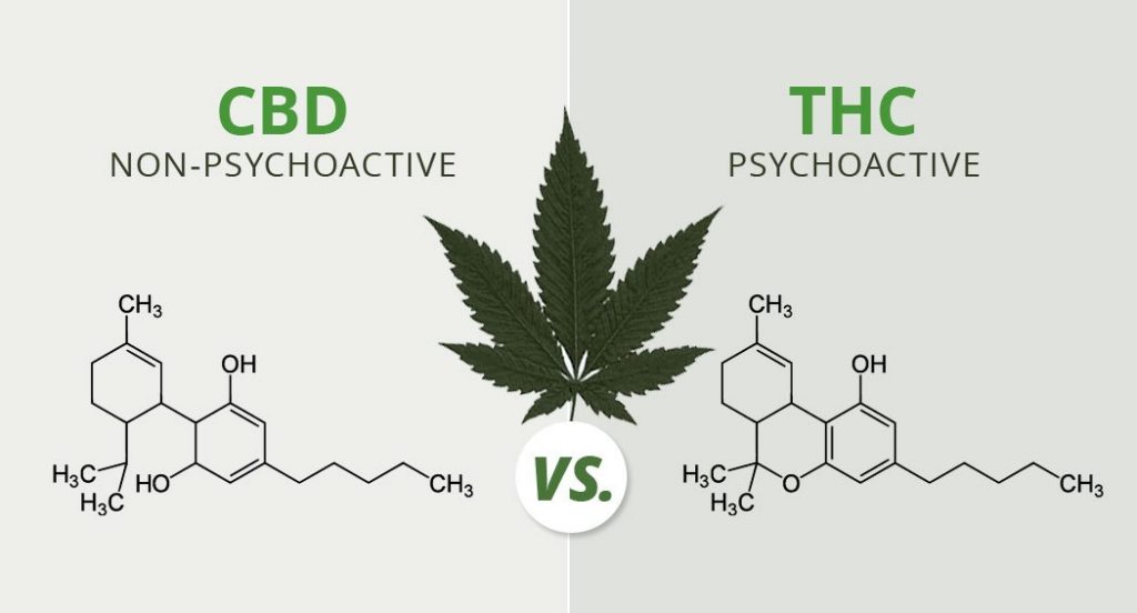 Differenza fra il CBD e il THC