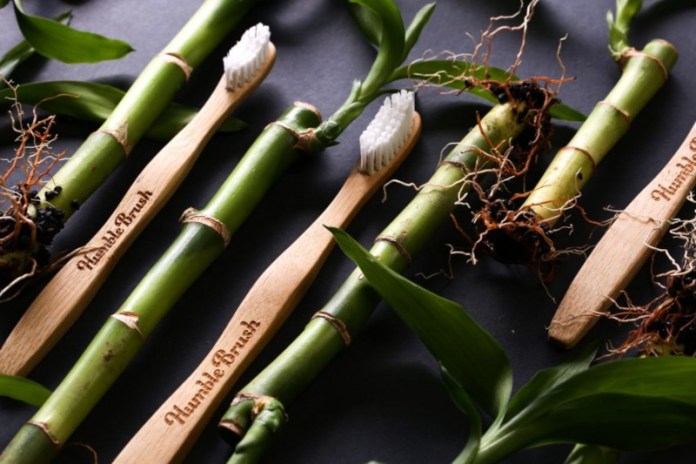 Canne di bambù con spazzolini in legno